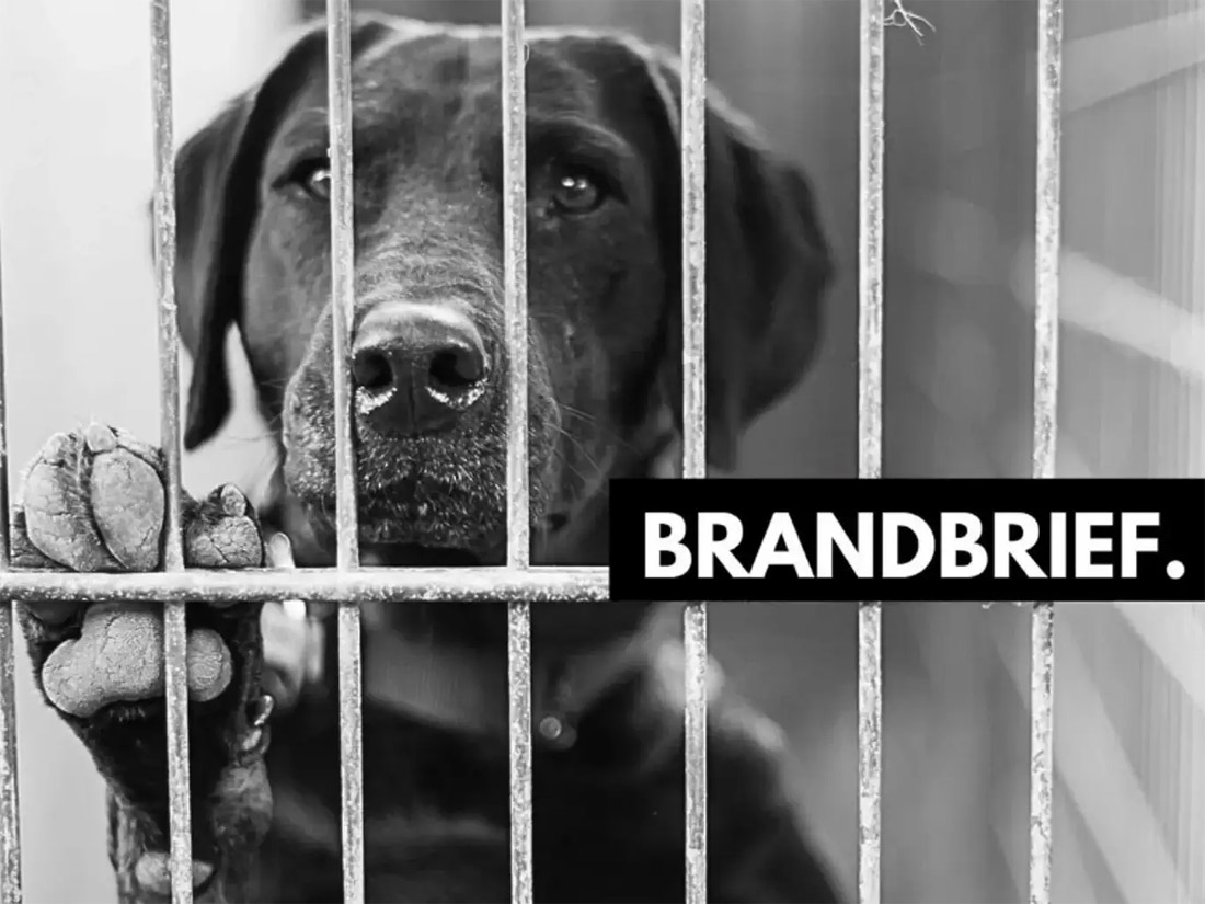 BRANDBRIEF: Qualitätsstandards statt Kontrollverlust – Konsequenzen aus dem Tollwutfall