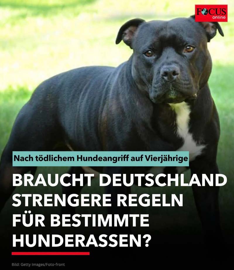 „Die derzeitige Situation mit der entsprechenden staatlichen Regelung ist wirklich gefährlich, für die Hunde aber vor allem auch für die Menschen!“